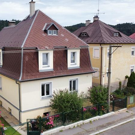 Pension U Stastnych Маріанські Лазні Екстер'єр фото